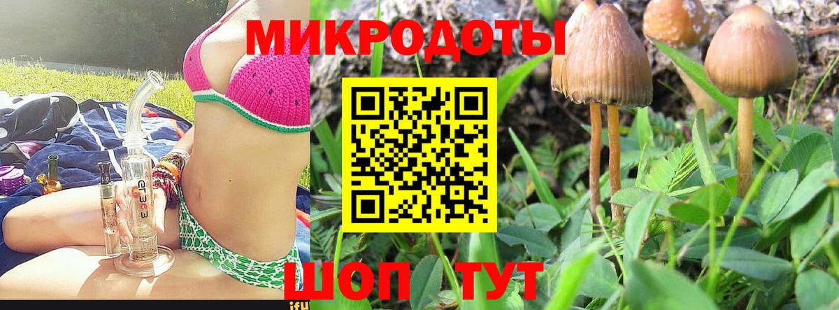Галлюциногенные грибы прущие грибы Вязники