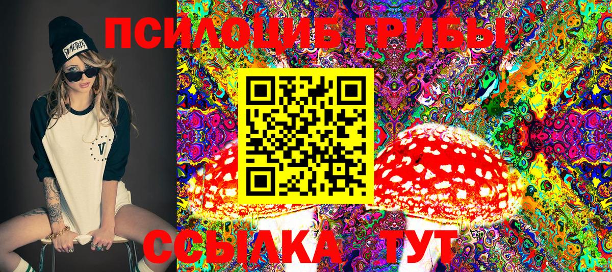 Псилоцибиновые грибы Cubensis  Псилоцибиновые грибы Psilocybine cubensis  Вязники  цены   Вход с VPN 
